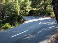 Forest Road Walkway in the Balearic Islands
