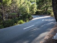 Forest Road Walkway in the Balearic Islands