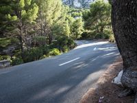 Forest Road Walkway in the Balearic Islands