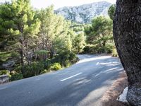 Forest Road Walkway in the Balearic Islands