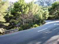 Forest Road Walkway in the Balearic Islands