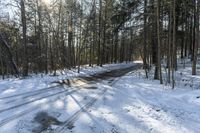 Winter Forest Road in Toronto, Canada