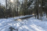 Winter Forest Road in Toronto, Canada