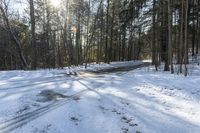 Winter Forest Road in Toronto, Canada