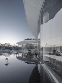 the modern design building is reflected in the water of the pool as the tree leans down from the glass roof