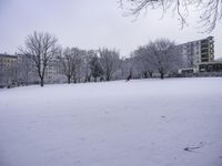 Freezing Grey Landscape with Buildings and Trees