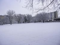 Freezing Grey Landscape with Buildings and Trees (002)