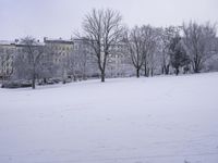 Freezing Grey Landscape with Buildings and Trees