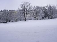 Freezing Grey Landscape with Buildings and Trees