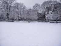 Freezing Lake Atmosphere: A Grey Landscape