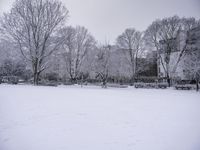 Freezing Lake Atmosphere: A Grey Landscape