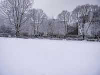 Freezing Lake Atmosphere: A Grey Landscape