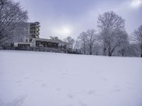 Freezing Landscape with Branches and Atmospheric Conditions