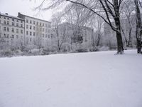 Freezing Landscape with Building, Tree, and Vegetation