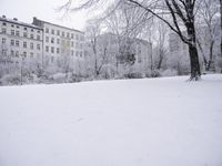 Freezing Landscape with Building, Tree, and Vegetation