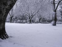 Freezing Landscape with Water and Trees