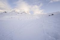 French Alps Skiing: Winter Sports