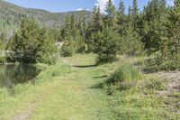 Frisco Colorado Road Through Mountain Grass