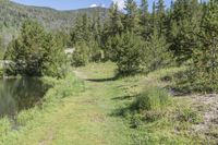 Frisco Colorado Road Mountain Grass 002