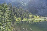 a river with green grass and trees by it surrounded by mountains with pine trees in front