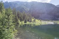 a river with green grass and trees by it surrounded by mountains with pine trees in front