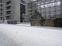 Frozen City Street: Asphalt Buildings