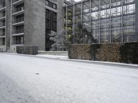 Frozen City Street: Asphalt Buildings