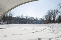 Frozen Lake: A Winter Scene in Canada