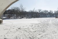 Frozen Lake: A Winter Scene in Canada