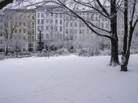 Frozen Landscape: House Window Tree 002