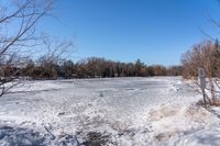 a frozen pond near a wooded area in the woods in wintertime on a sunny day