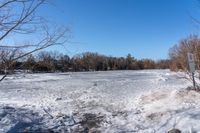 a frozen pond near a wooded area in the woods in wintertime on a sunny day