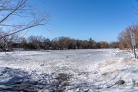 a frozen pond near a wooded area in the woods in wintertime on a sunny day