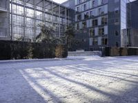 Frozen Pond in an Urban High-Rise Building