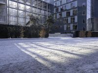 Frozen Pond in an Urban High-Rise Building