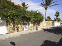 palm trees growing on a stone fence line the street near a tall house, near a small palm tree