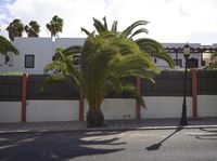 Fuerteventura Residential Neighborhood Architecture