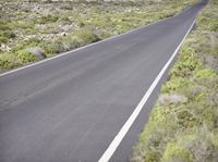 Fuerteventura Scenic Endless Road in Green Landscape