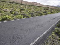 Fuerteventura Scenic Endless Road through Green Landscape 002