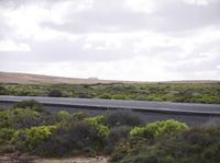 the landscape features trees, bushes and hills, along a highway in new zealand at a speed limit