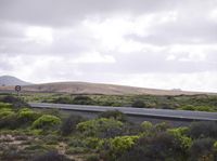 the landscape features trees, bushes and hills, along a highway in new zealand at a speed limit