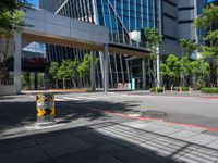 there is a yellow and black fire hydrant on the street in front of tall buildings