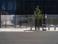 a parked car next to a tall grey building with some sort of wall and two trees in front of the building