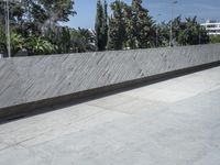 a young man riding a skateboard down a cement covered road area next to trees