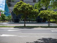 a stoplight and trees in front of a modern looking building in a tropical city