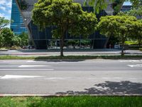 a stoplight and trees in front of a modern looking building in a tropical city