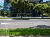 a stoplight and trees in front of a modern looking building in a tropical city