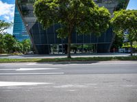 a stoplight and trees in front of a modern looking building in a tropical city