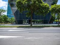 a stoplight and trees in front of a modern looking building in a tropical city