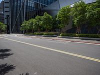 the empty road is very quiet in a city setting, in this image there are trees growing along it